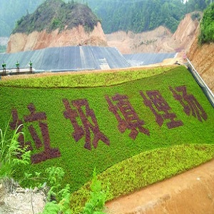防滲膜是什么材料做成的(防滲膜材料特性大揭秘)